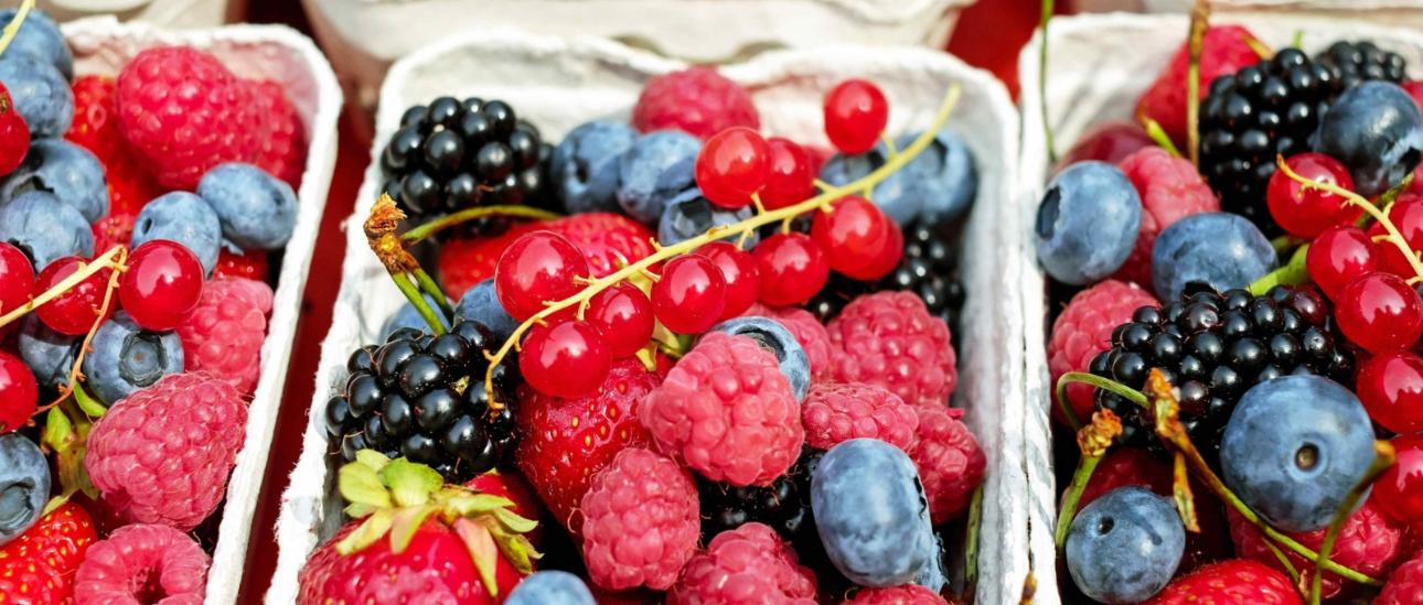 Slider Beeren