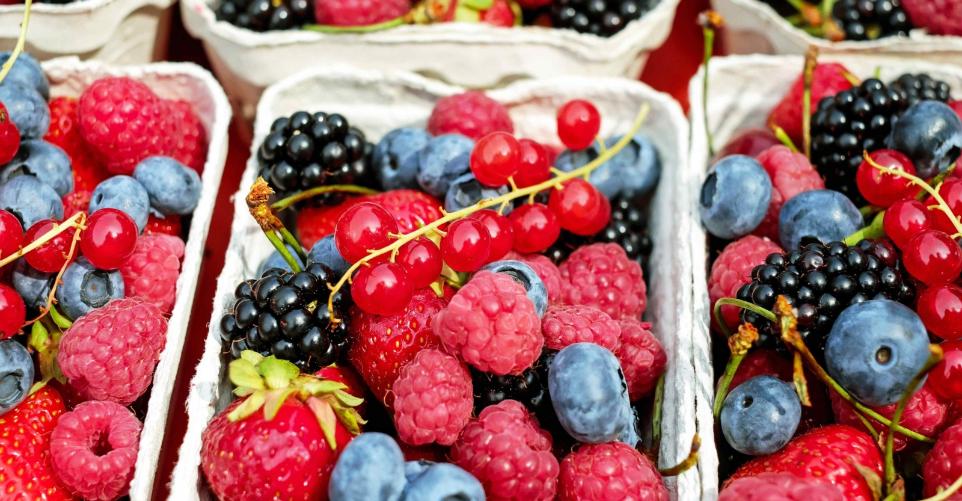 Slider Beeren