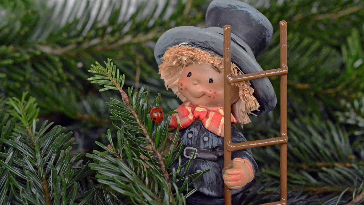 Slider Schornsteinfeger-Sylvester