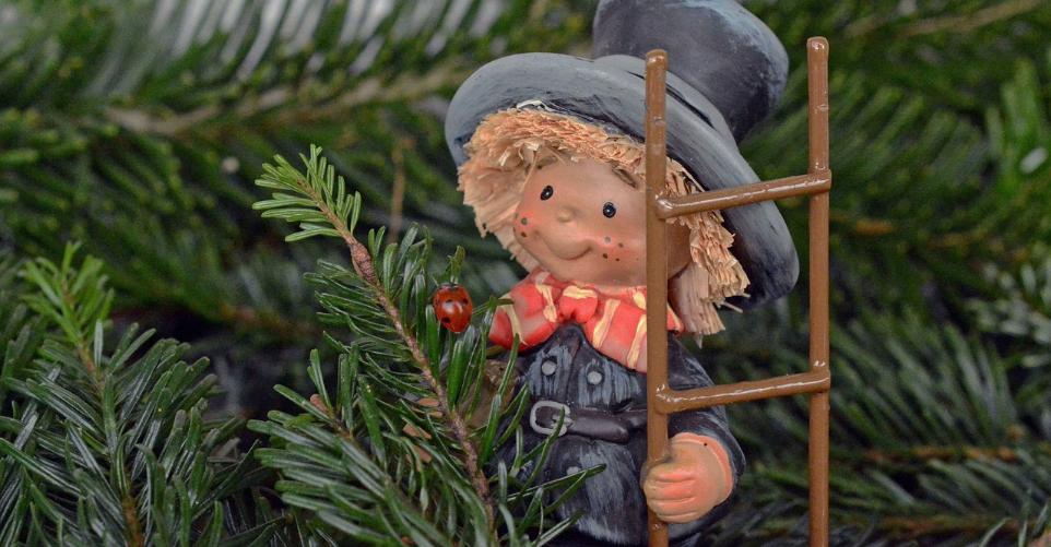 Slider Schornsteinfeger-Sylvester