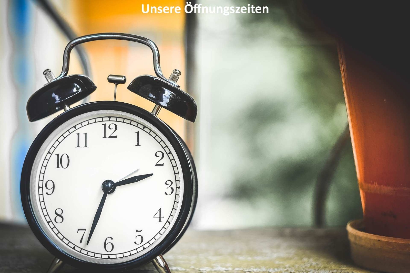 Betreuungsform/Öffnungszeiten/Kosten