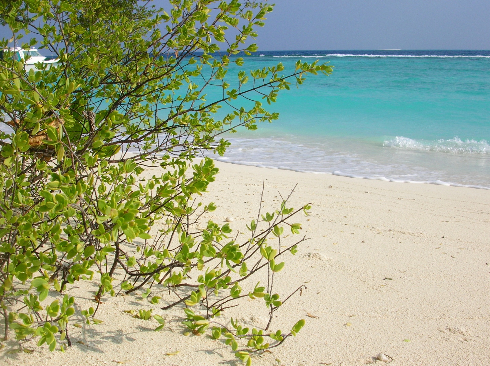 Strand